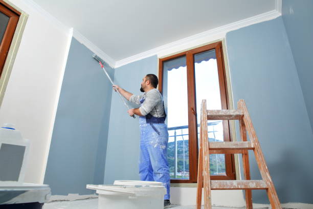Best Basement Mold Removal  in Liberty, TX
