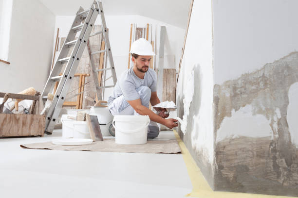 Best Post-Construction Mold Inspection  in Liberty, TX