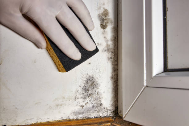 Best Indoor Air Quality Assessment  in Liberty, TX